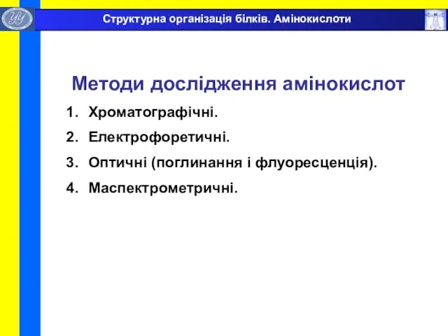 Методи дослідження амінокислот Хроматографічні. Електрофоретичні. Оптичні (поглинання і флуоресценція). Маспектрометричні. Структурна організація білків. Амінокислоти