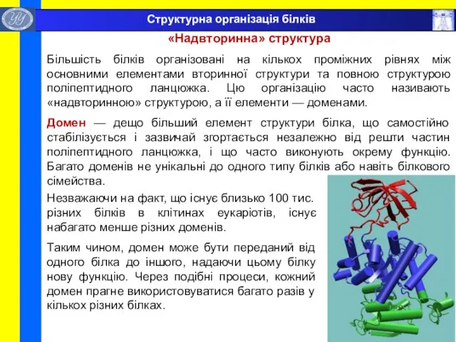 «Надвторинна» структура Більшість білків організовані на кількох проміжних рівнях між основними елементами