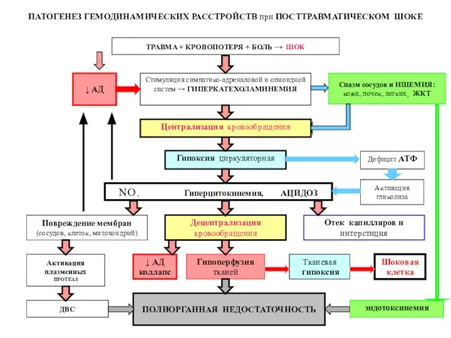Спазм сосудов и ИШЕМИЯ: кожи, почек, легких¸ ЖКТ Гипоксия циркуляторная NO ,