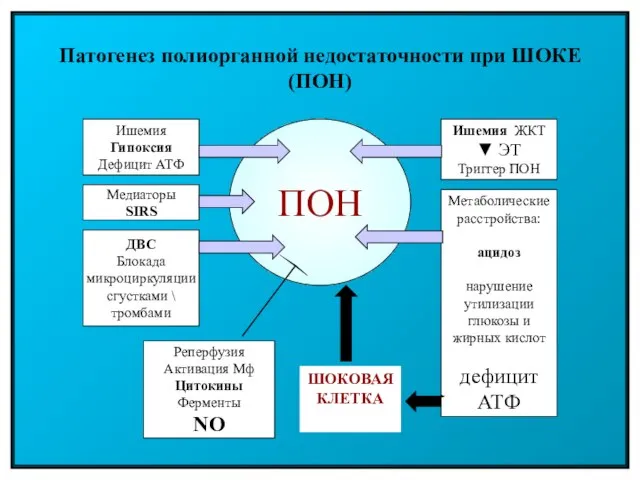 Патогенез полиорганной недостаточности при ШОКЕ (ПОН) ПОН Ишемия Гипоксия Дефицит АТФ Медиаторы