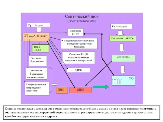 Клиника септического шока, кроме гемодинамических расстройств с самого начала несет признаки системного