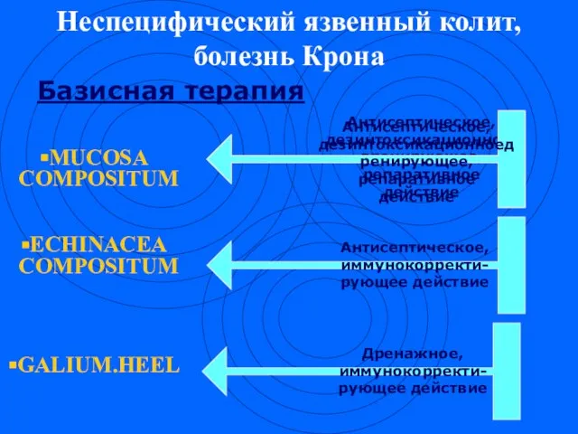 Неспецифический язвенный колит, болезнь Крона Базисная терапия MUCOSA COMPOSITUM ECHINACEA COMPOSITUM GALIUM.HEEL