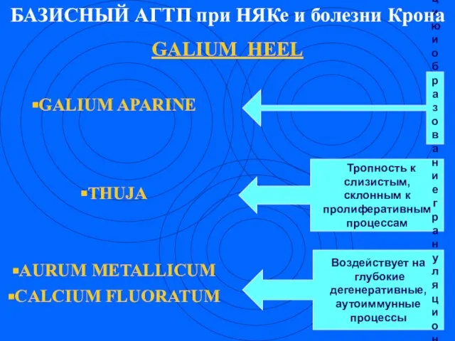 GALIUM APARINE ТНUJA AURUM METALLICUM CALCIUM FLUORATUM Воздействует на глубокие дегенеративные, аутоиммунные