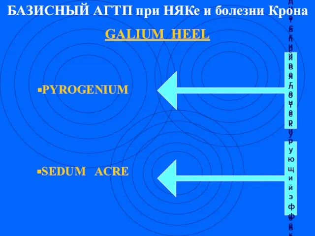 PYROGENIUM SEDUM ACRE Повышает эффективность средств при вяло текущих заболеваниях и хрониосепсисе