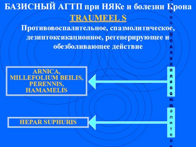 БАЗИСНЫЙ АГТП при НЯКе и болезни Крона TRAUMEEL S Противовоспалительное, спазмолитическое, дезинтоксикационное,