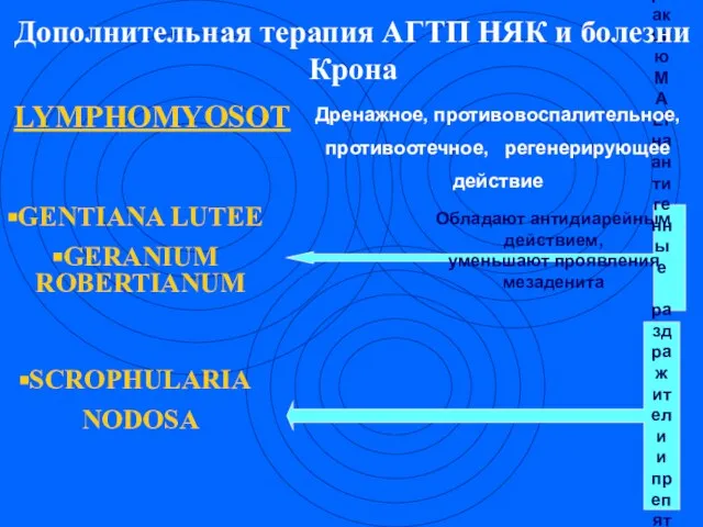 GENTIANA LUTEE GERANIUM ROBERTIANUM SCROPHULARIA NODOSA Восстанавливает реакцию MALT на антигенные раздражители