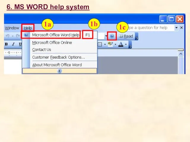 6. MS WORD help system