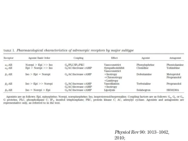 Physiol Rev 90: 1013–1062, 2010;