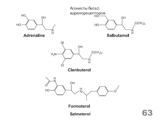 Агонисты бета2-адренорецепторов Salmeterol