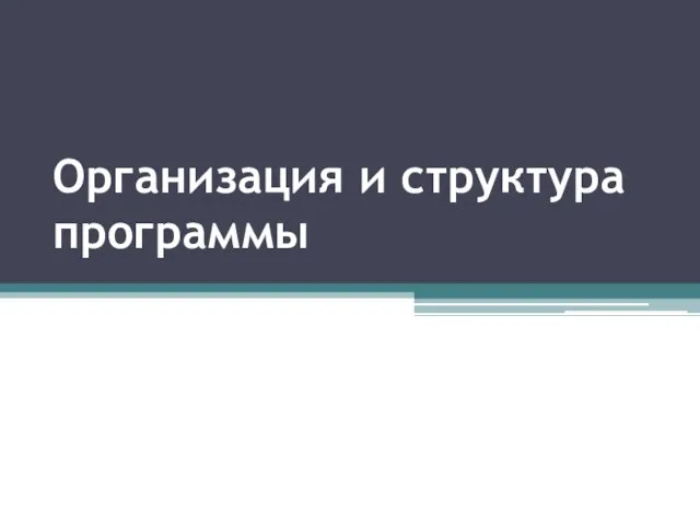 Организация и структура программы