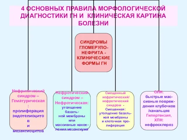 4 ОСНОВНЫХ ПРАВИЛА МОРФОЛОГИЧЕСКОЙ ДИАГНОСТИКИ ГН И КЛИНИЧЕСКАЯ КАРТИНА БОЛЕЗНИ