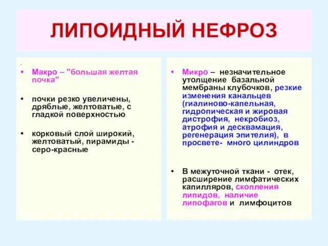 ЛИПОИДНЫЙ НЕФРОЗ . Макро – "большая желтая почка" почки резко увеличены, дряблые,