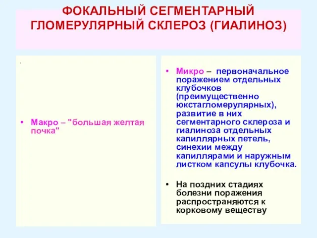 ФОКАЛЬНЫЙ СЕГМЕНТАРНЫЙ ГЛОМЕРУЛЯРНЫЙ СКЛЕРОЗ (ГИАЛИНОЗ) . Макро – "большая желтая почка" Микро