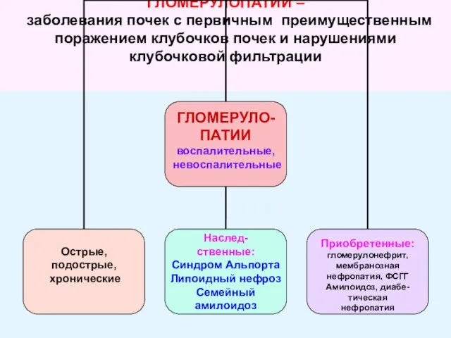 ГЛОМЕРУЛОПАТИИ – заболевания почек с первичным преимущественным поражением клубочков почек и нарушениями клубочковой фильтрации