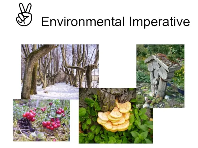 ✌Environmental Imperative