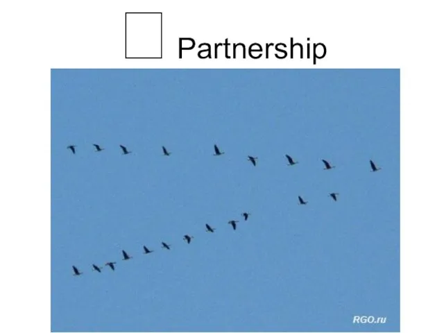 ? Partnership