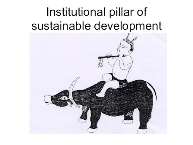 Institutional pillar of sustainable development