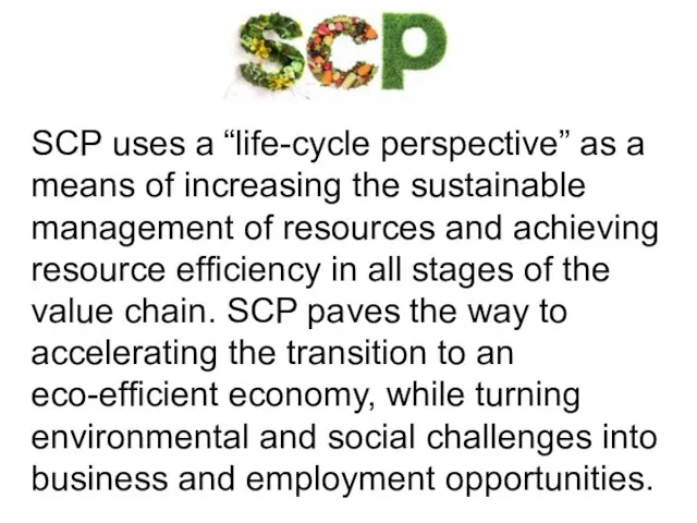 SCP uses a “life-cycle perspective” as a means of increasing the sustainable