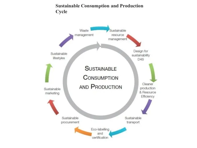 Sustainable Consumption and Production Cycle