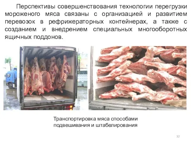 Перспективы совершенствования технологии перегрузки мороженого мяса связаны с организацией и развитием перевозок