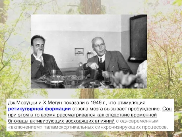 Дж.Моруцци и Х.Мегун показали в 1949 г., что стимуляция ретикулярной формации ствола