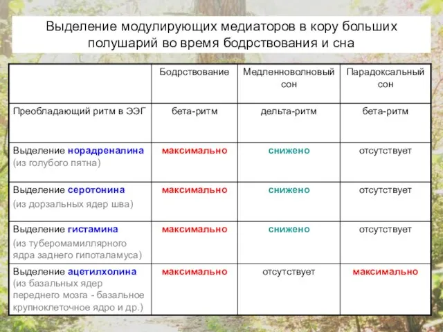 Выделение модулирующих медиаторов в кору больших полушарий во время бодрствования и сна