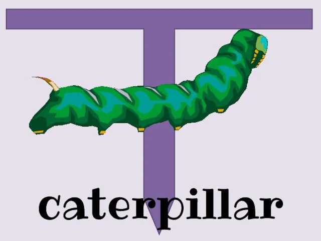 caterpillar