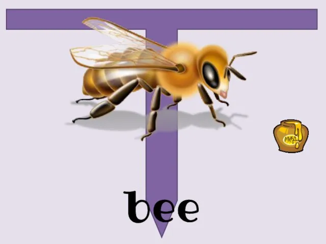 bee