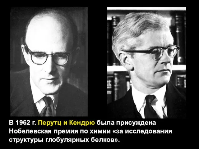 В 1962 г. Перутц и Кендрю была присуждена Нобелевская премия по химии