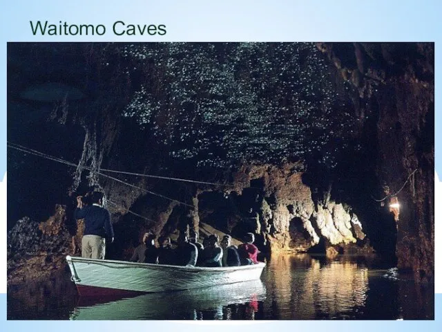 Waitomo Caves