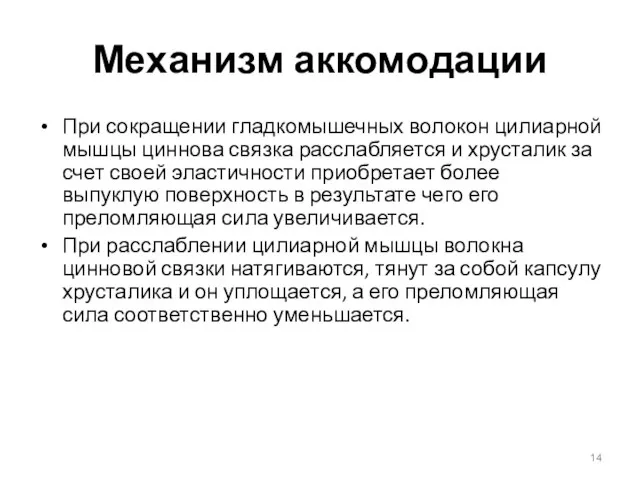 Механизм аккомодации При сокращении гладкомышечных волокон цилиарной мышцы циннова связка расслабляется и