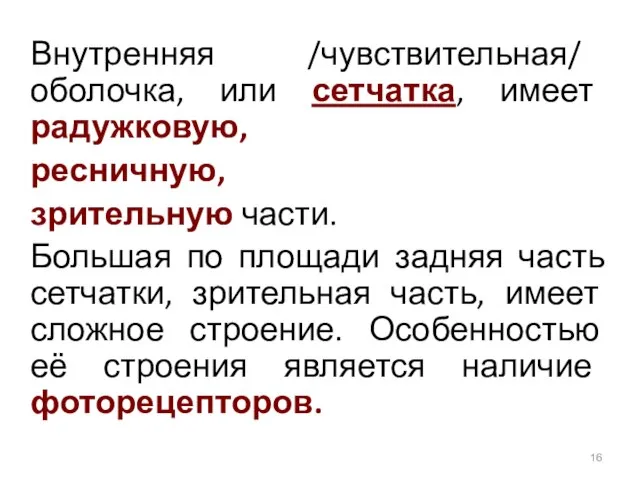 Внутренняя /чувствительная/ оболочка, или сетчатка, имеет радужковую, ресничную, зрительную части. Большая по