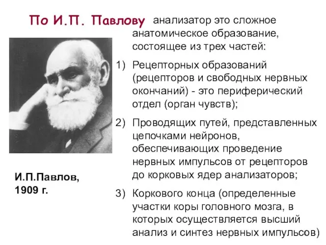 По И.П. Павлову анализатор это сложное анатомическое образование, состоящее из трех частей: