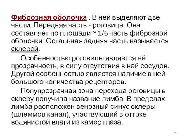 Фиброзная оболочка . В ней выделяют две части. Передняя часть - роговица.