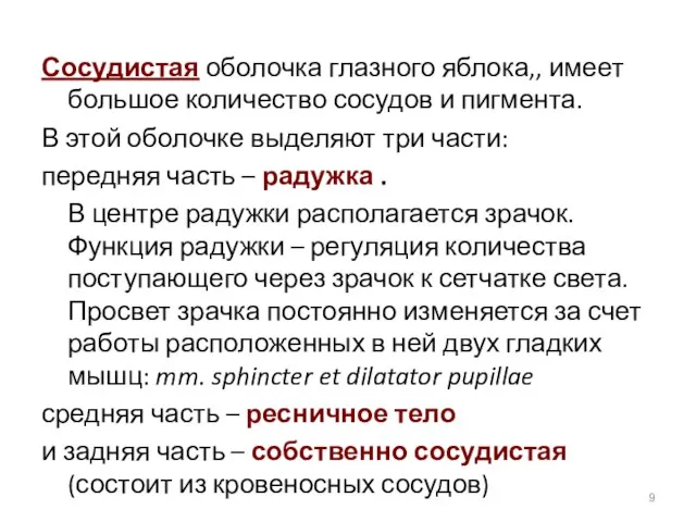 Сосудистая оболочка глазного яблока,, имеет большое количество сосудов и пигмента. В этой