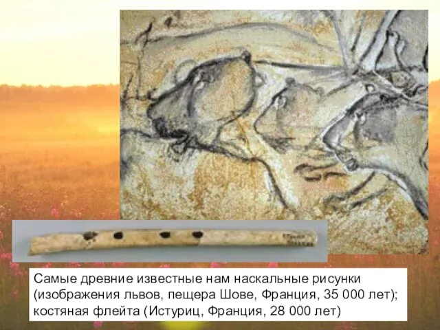 Самые древние известные нам наскальные рисунки (изображения львов, пещера Шове, Франция, 35