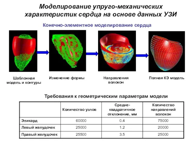 Моделирование упруго-механических характеристик сердца на основе данных УЗИ Конечно-элементное моделирование сердца Шаблонная