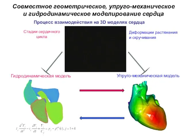 Гидродинамическая модель Упруго-механическая модель Процесс взаимодействия на 3D моделях сердца Деформации растяжения