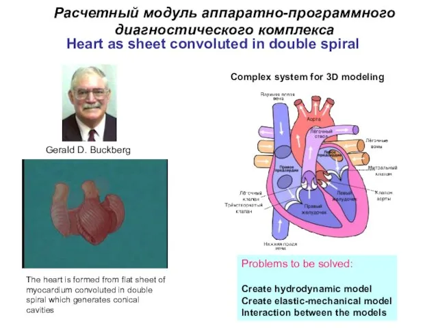 Расчетный модуль аппаратно-программного диагностического комплекса Gerald D. Buckberg The heart is formed