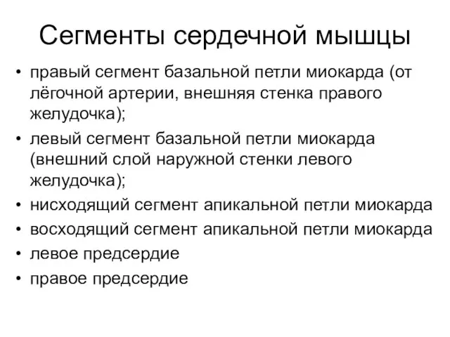 Сегменты сердечной мышцы правый сегмент базальной петли миокарда (от лёгочной артерии, внешняя