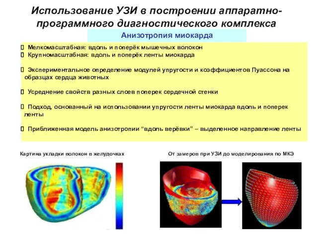 Использование УЗИ в построении аппаратно-программного диагностического комплекса Анизотропия миокарда Картина укладки волокон