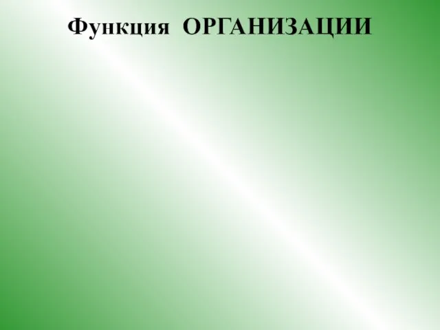 Функция ОРГАНИЗАЦИИ