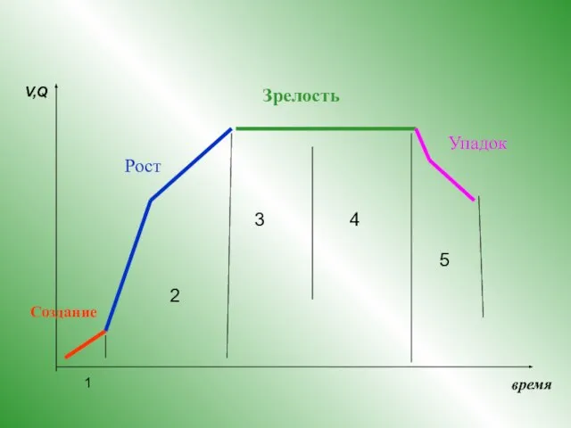 1 2 4 3 5 V,Q время Рост Зрелость Создание Упадок