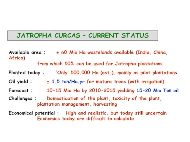 JATROPHA CURCAS – CURRENT ST ATUS Available area : ± 60 Mio