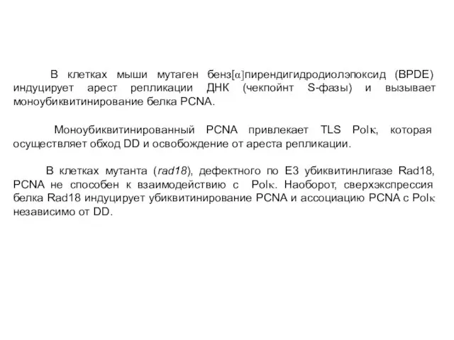 В клетках мыши мутаген бенз[α]пирендигидродиолэпоксид (BPDE) индуцирует арест репликации ДНК (чекпойнт S-фазы)