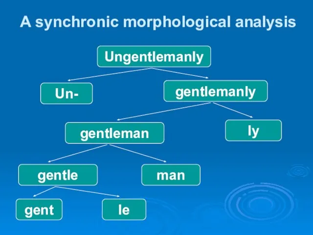 A synchronic morphological analysis Ungentlemanly Un- gentlemanly gentleman ly gentle man gent le
