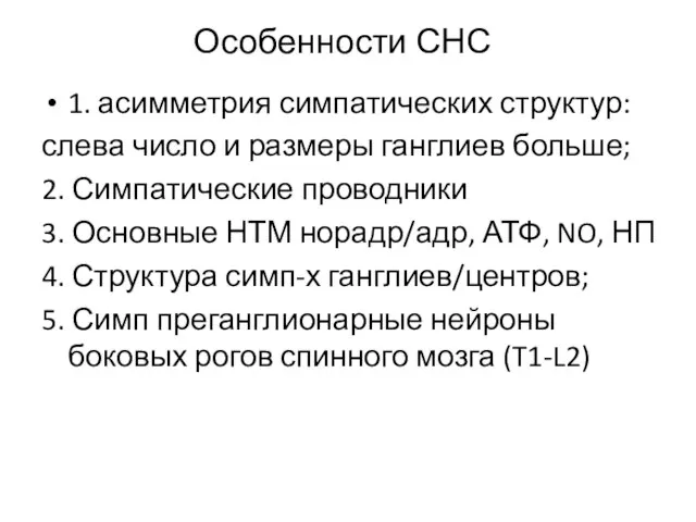 Особенности СНС 1. асимметрия симпатических структур: слева число и размеры ганглиев больше;