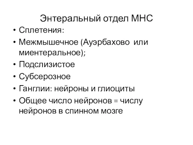 Энтеральный отдел МНС Сплетения: Межмышечное (Ауэрбахово или миентеральное); Подслизистое Субсерозное Ганглии: нейроны