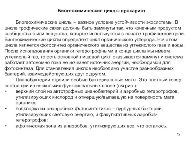 Биогеохимические циклы прокариот Биогеохимические циклы – важное условие устойчивости экосистемы. В цикле