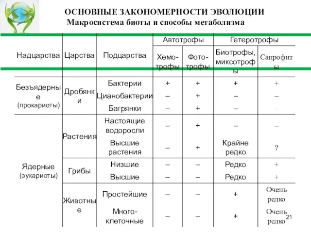 ОСНОВНЫЕ ЗАКОНОМЕРНОСТИ ЭВОЛЮЦИИ Макросистема биоты и способы метаболизма